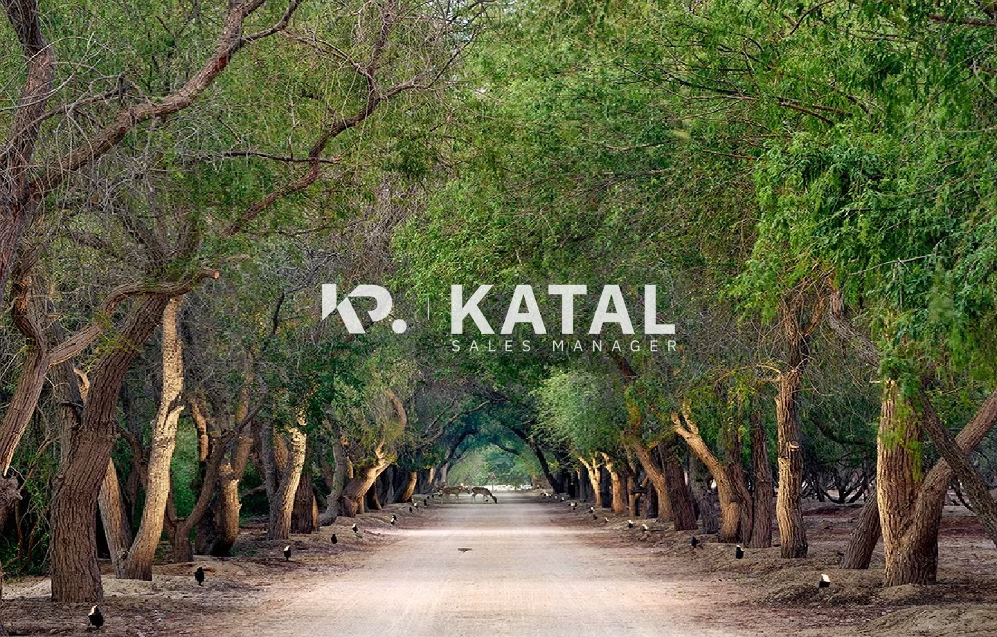 Spacious Plot| Perfect Location |Build Your Future
